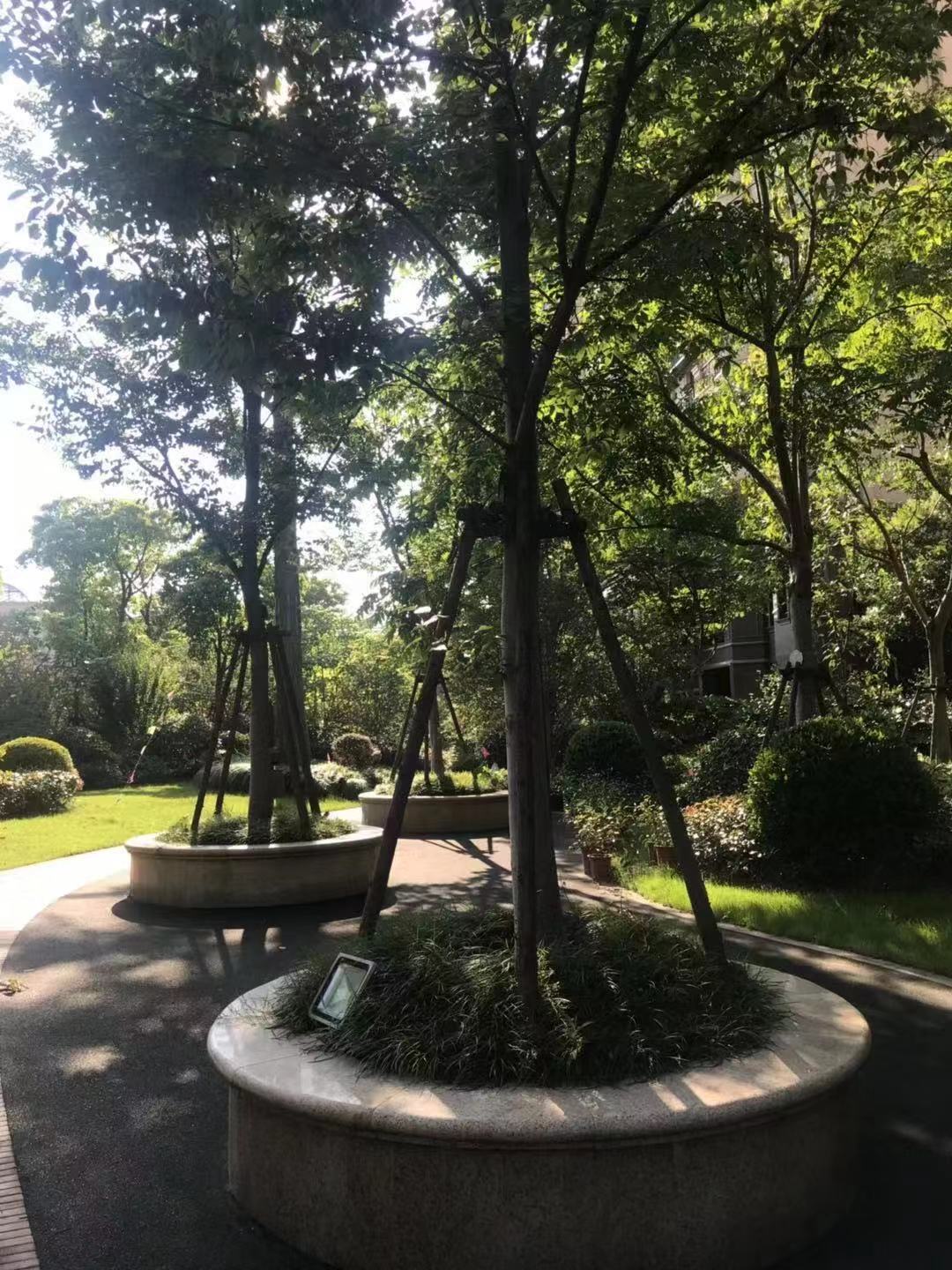御岛财富公馆