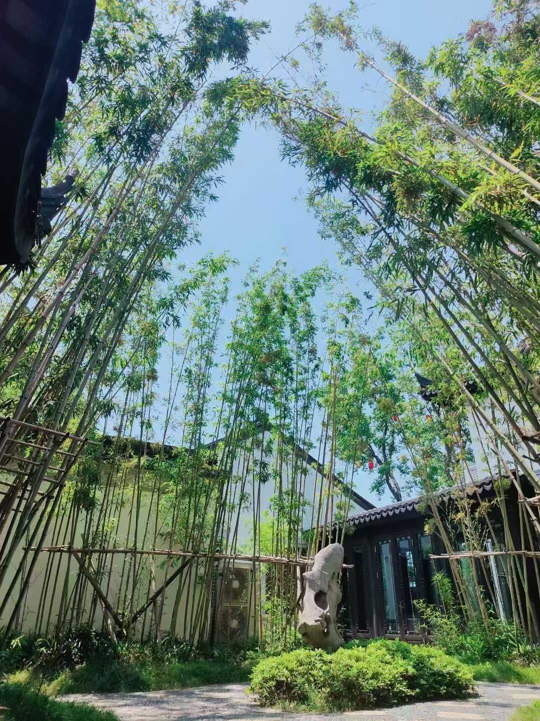 璟云里